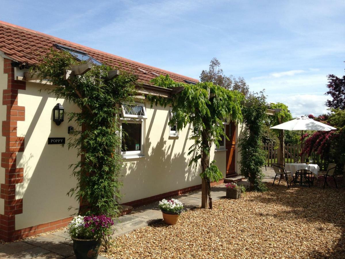 Ashford House B&B Wells Esterno foto